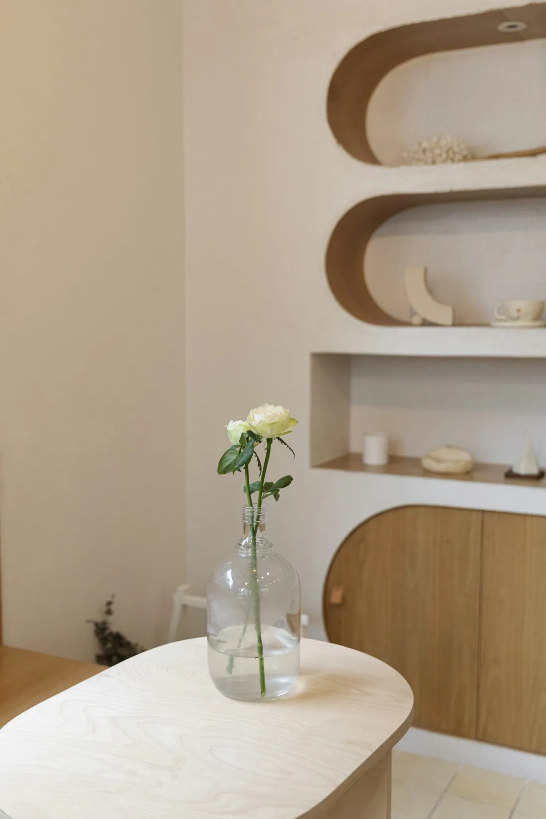 A calm, bright room with curved shelves and a single white rose