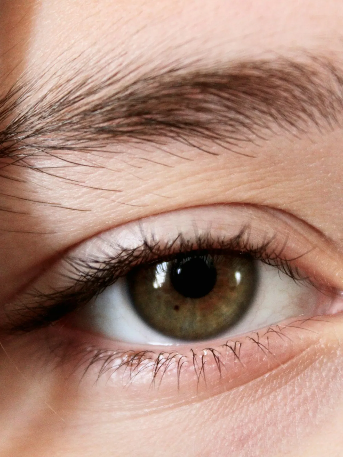 Close up of a natural eyebrow and eye